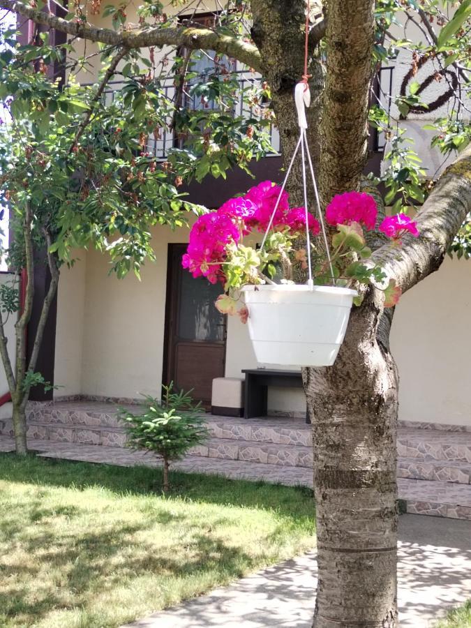 La Babusca Hotel 2 ไม ภายนอก รูปภาพ
